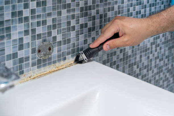 Best Black Mold Remediation in Peebles, OH